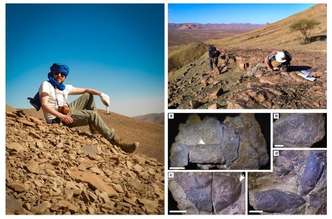 Lukáš Laibl (vlevo) s kolegy během terénního výzkumu v Maroku a ukázka nalezených zkamenělin. Foto: Jana Bruthansová, Bertrand Lefebvre a Javier Ortega-Hernández.
